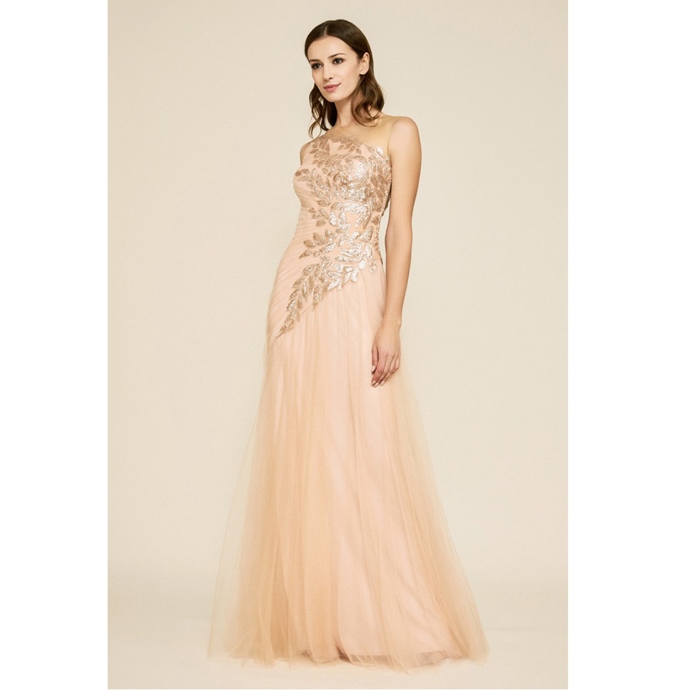 Tadashi Shoji Blush Pink Embroidered Tulle Maxi Gown